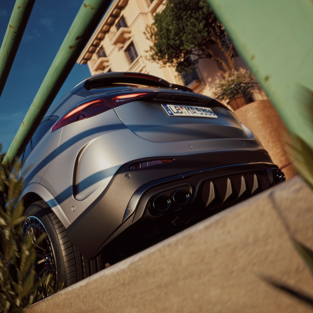 AMG DYNAMIC PLUS
